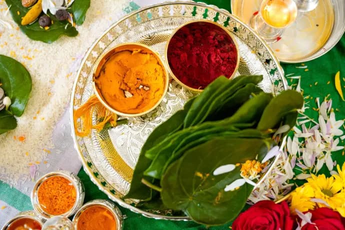 Hindu Wedding Ceremony by Sri Shyam Sharma